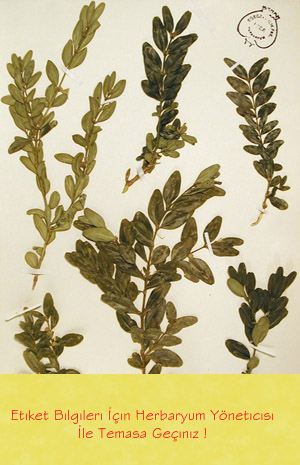 IZEF-2624